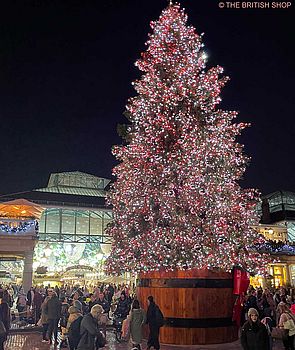 18 m hoher Weihnachtsbaum mit 30.000 roten und weißen Lämpchen steht vor dem Covent Garden Market.