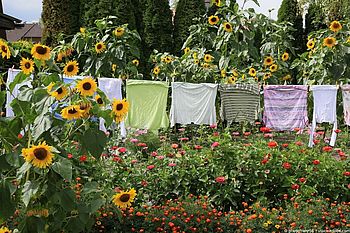 Cottagecore: Die neue Sehnsucht nach dem Landleben