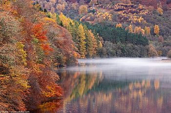 Herbstlicher Wald und See