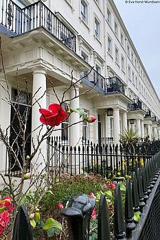 Pimlico – mehr als die Tate Britain!