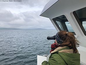 Birdwatching auf einer Fähre