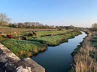 THE BRITISH SHOP unterwegs in East Sussex: Cuckmere River
