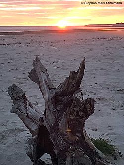 Sonnenaufgang am schottischen Strand