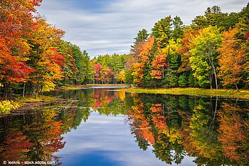 Colorful foliage tree reflections in calm pond water on a beautiful autumn day in New England