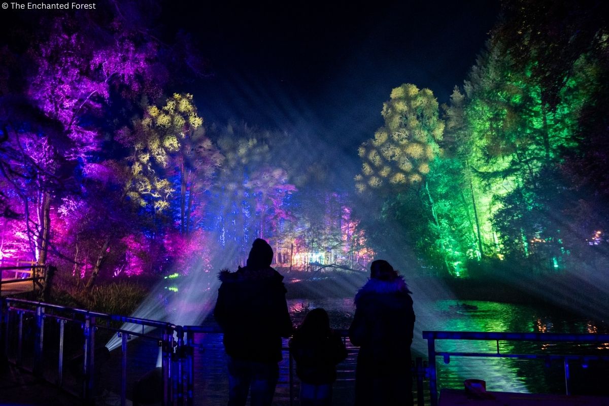 Enchanted Forest: Fascally Wood wird zum Lichterwald Enchanted Forest: Fascally Wood wird zum Lichterwald