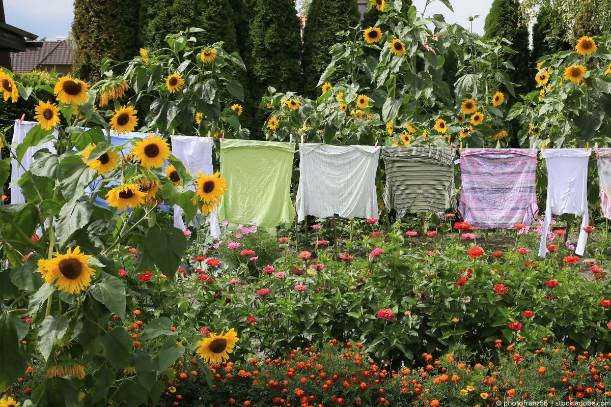 Cottagecore: Die neue Sehnsucht nach dem Landleben