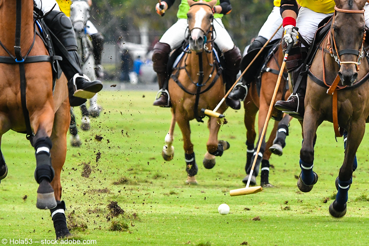 Polo: Der Sport der Könige mit Stil und Herz