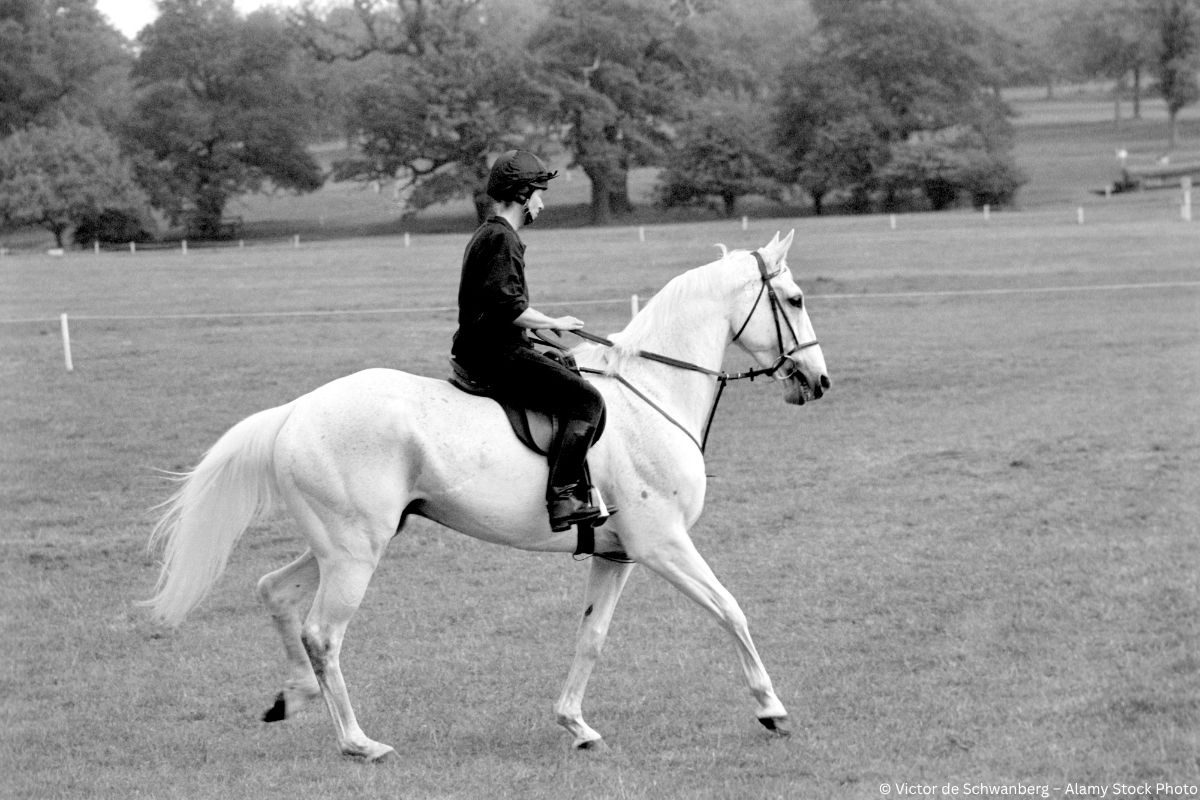 Prinzessin Anne und ihr Comeback hoch zu Pferd