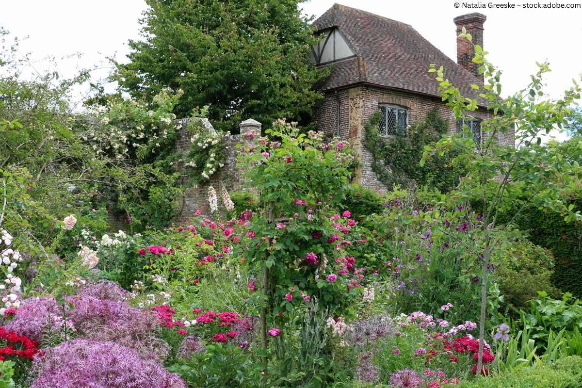 The Queen’s Roses: Die schönsten Rosengärten Englands